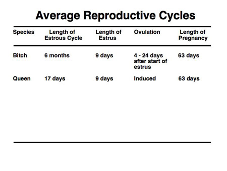 Normal Fsh Levels By Age Chart