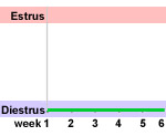 anestrus graph of behavior- no estrual behavior