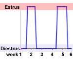 normal cyclic behavior with cycle about 21 days