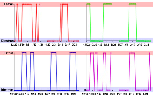 graph of estrus behavior after exposure to exogenous lighting