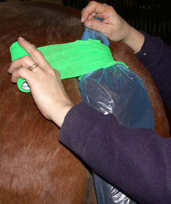 secure the top of the glove with disposable, elastic wrap