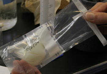 putting bag of semen into another whirlpac bag