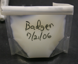 bag of semen labelled with stallion's name and date of collection